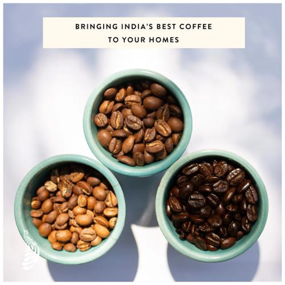 Blue Tokai French Roast Channi Grind Dark Roast Arabica Ground Coffee, 250 g Pouch-7.webp